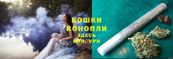 ешки Новодвинск