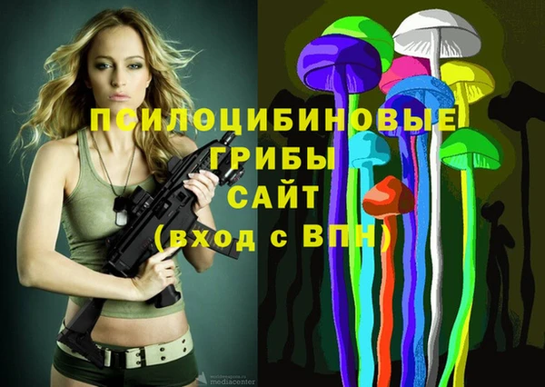 мяу мяу мука Алексин