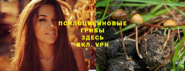 мяу мяу мука Алексин