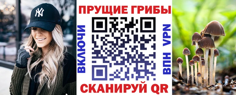 Псилоцибиновые грибы GOLDEN TEACHER  Владивосток 