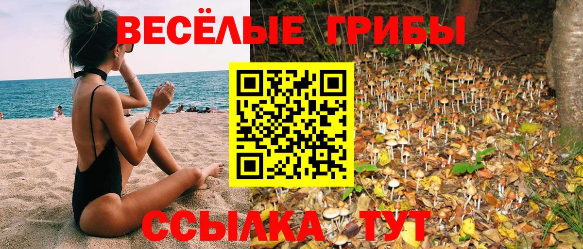 Псилоцибиновые грибы ЛСД  Псилоцибиновые грибы прущие грибы  Владивосток  Вход с VPN 